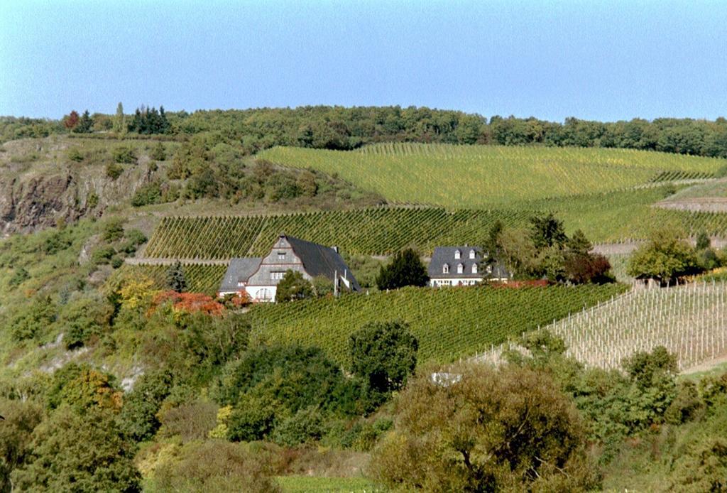 Gut Hermannsberg, Gaestehaus Niederhausen Eksteriør bilde