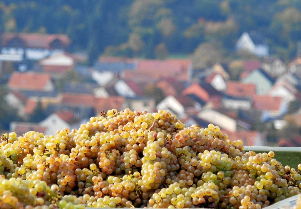 Gut Hermannsberg, Gaestehaus Niederhausen Eksteriør bilde